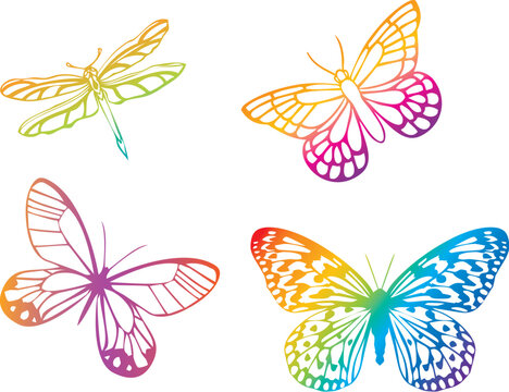 colorful butterflies on white background