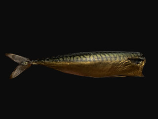 smoked fish on a black background