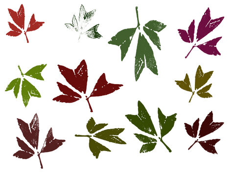 Autumn leaves, each separately grouped for ease of editing and coloring
