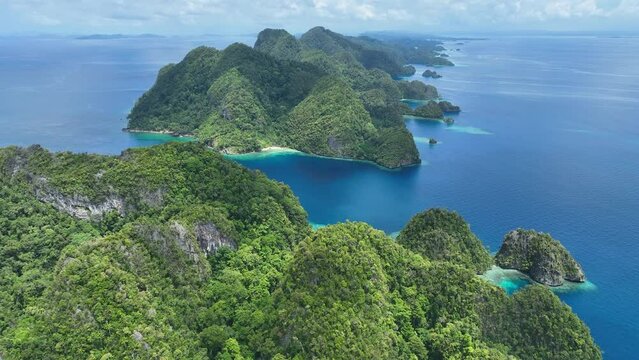 Bright sunlight shines on forest-covered limestone islands that rise from Raja Ampat's dramatic seascape. This remote part of Indonesia is known for its incredibly high marine biodiversity.