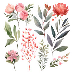 Watercolor floral illustration elements set
