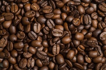 Texture of coffee beans. Roasted coffee beans background