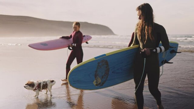 Young friends carrying surfboards walking and talking on ocean beach. Active surfer sports women and man friends with family dog, tired after practice in the sea, catching waves on a high tide.