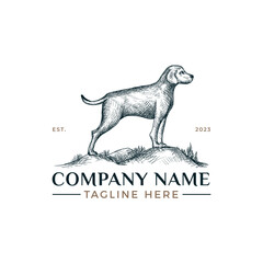 dog vintage logo drawing