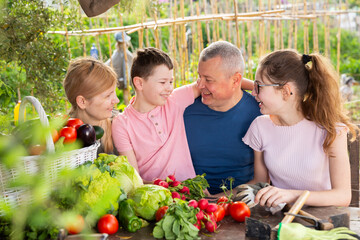 Parents with children relax at rustic table after harvesting ripe vegetables