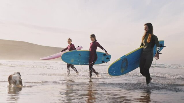 Young friends carrying surfboards walking and talking on ocean beach. Active surfer sports women and man friends with family dog, tired after practice in the sea, catching waves on a high tide.