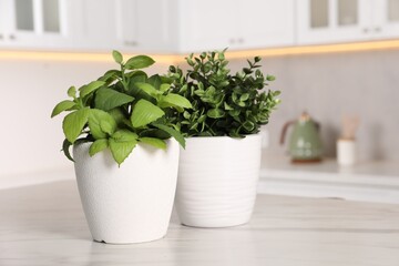 Artificial potted herbs on white marble table in kitchen, space for text. Home decor
