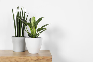 Different houseplants in pots on wooden table near white wall, space for text