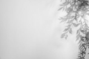 Obraz premium Shadow of plant branches on light background, space for text