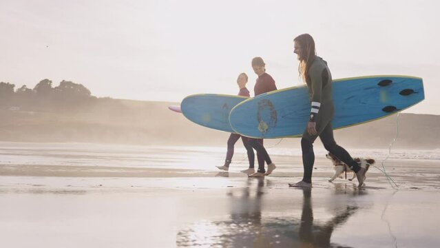 Young friends carrying surfboards walking and talking on ocean beach. Active surfer sports women and man friends with family dog, tired after practice in the sea, catching waves on a high tide.