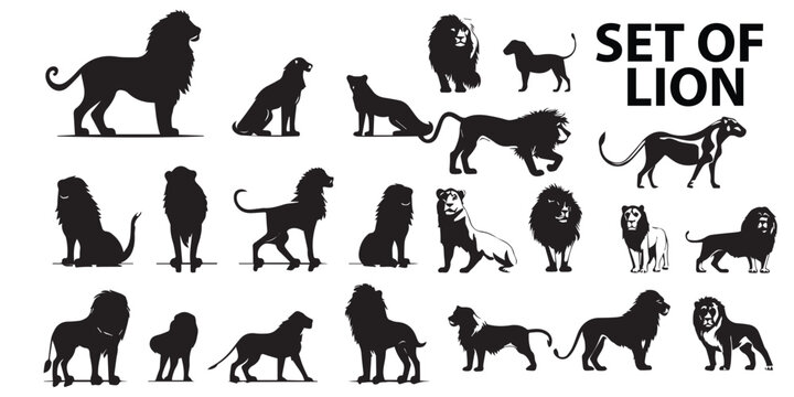 A group of lion silhouettes vector design.