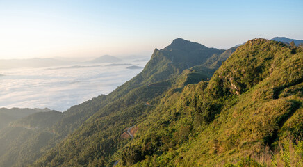 Fototapeta premium Beautiful landscape on the mountains at sunrise. Spectacular view in foggy valley covered forest under morning time.