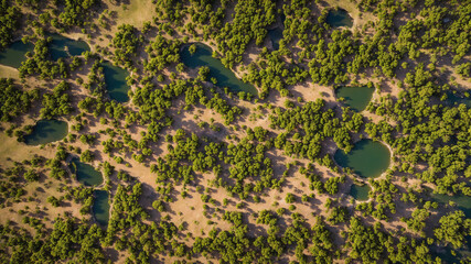 grass and water