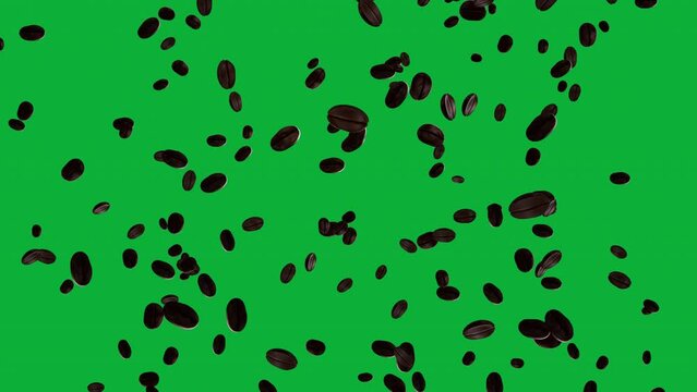 Looped 3D Coffee beans in slow motion and high quality animation. Amazing video of falling coffee beans in green screen background