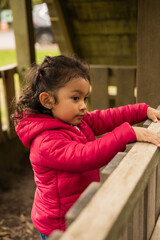 portrait of little 3 year old girl with curly hair and latin, natural beauty wears a pink warm sweater, playing and enjoying the day, childhood lifestyle