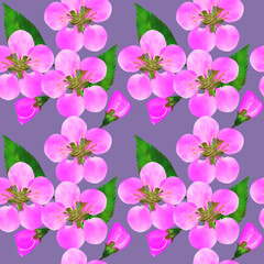 Quince, apple quince. Floral seamless pattern. Flowers motifs. Collage for textile, cotton fabric, dress. For wallpaper, covers, print. Interior decor. Design for paper, cards. For brochure, banners.