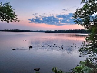 Beautiful backfround of the homeland