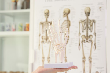 Person holds human hand bones model in medical class