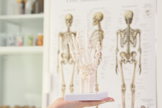 Person holds human hand bones model in medical class