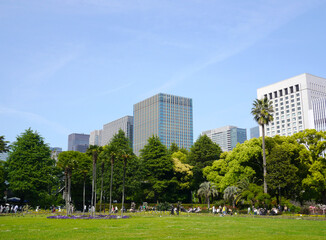 都会のビルの間にある癒しの公園