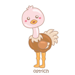 Alphabet O For Ostrich Vocabulary School Illustration Vector Clipart Cartoon