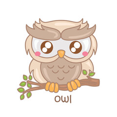 Alphabet O For Owl Vocabulary School Illustration Vector Clipart Cartoon