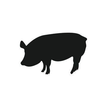 Flat pig silhouette illustration vector