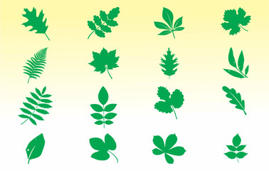 Set of green plant branches.   Leaves of trees and plants. Collection green leaf. Elements design for natural, eco, bio, vegan labels, banner and poster. Editable vector, easy to change color. eps 10.