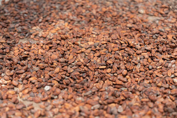 Dark brown cocoa bean texture for cooking and desserts.