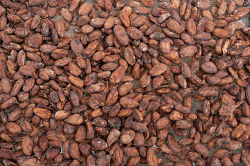 Dark brown cocoa bean texture for cooking and desserts.