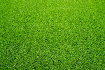 Green grass texture background Top view of bright grass garden Idea concept