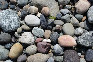 Fototapeta na wymiar Variety of pebbles on the beach