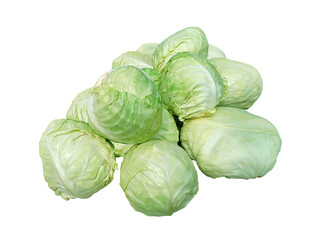 Fototapeta na wymiar Fresh cabbage isolated on white background