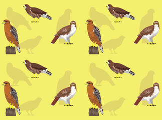 Falconry Red-Tailed Hawk Cute Cartoon Poses Seamless Wallpaper Background
