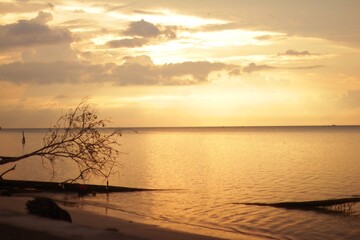 View of the beach in the morning