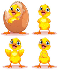 Adorable Little Duck Character Collection