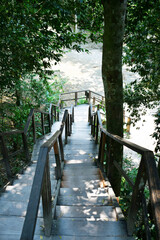 Escalones bajando por el Templo IV. Parque Nacional de Tikal en Guatemala. Escaleras de madera.