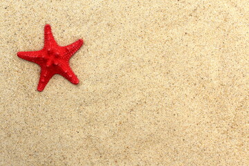 A red starfish lies on the yellow sand.	