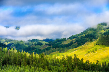 Obraz premium Green mountain and forest with sky cloud natural scenery in Xinjiang, China.
