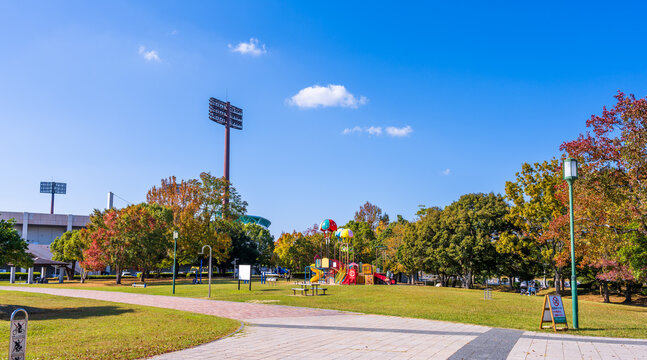 秋晴れ光芒を浴びている森林公園の紅葉風景
Autumn leaves scenery of the forest park bathed in autumn sunshine
佐賀県立森林公園(佐賀市)
Saga Prefectural Forest Park(Saga City)
日本(秋)2022年撮影
Japan (Autumn) Taken in 2022
九州・佐賀県