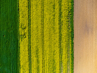 Aerial view landscape Poland, rapeseed fields from a drone. Nature, countryside, yellow.