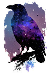 Raven made of the night sky; galaxy night sky raven silhouette design, cosmic jeweltone colors literary mystical, witchy vibe nods to Odin and Edgar Allan Poe; transparent layer (generative AI, AI) - obrazy, fototapety, plakaty