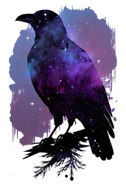 Raven made of the night sky; galaxy night sky raven silhouette design, cosmic jeweltone colors literary mystical, witchy vibe nods to Odin and Edgar Allan Poe; transparent layer (generative AI, AI)