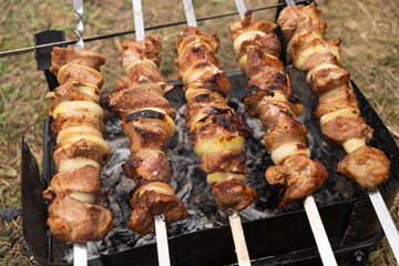 Close Up Cooking Meat Barbecue On The Coal In Camping Park, Forest. Meat , Onion Rings Strung On Skewers. No Waste Healthy Eating Picnic In Summer, Spring Time. Horizontal Plane.