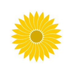 Yellow sunflower blooming icon flat vector design
