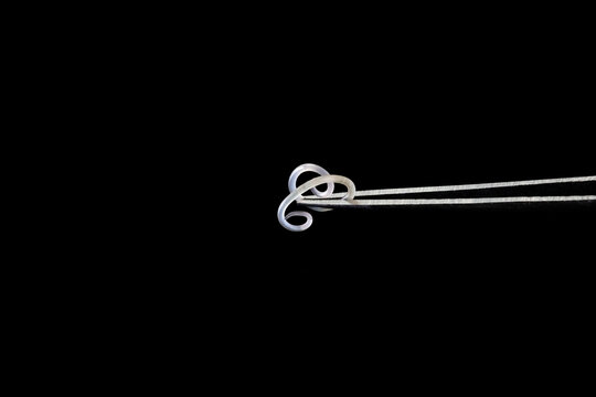 Metal tweezers catching a parasitic worm Anisakis on black background