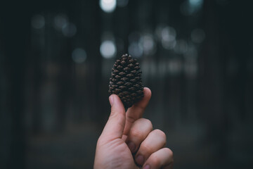 hand holding a christmas ball