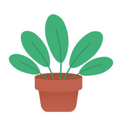 plant in a pot