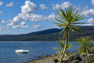 Au bord du lac