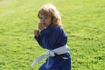 Fototapeta premium Kid boy practicing karate outdoor. Sport karate kids. Little boy wearing kimono doing karate in park. Child training box. Little karate fighter. Martial arts for kids. Child in kimono boxing punch.